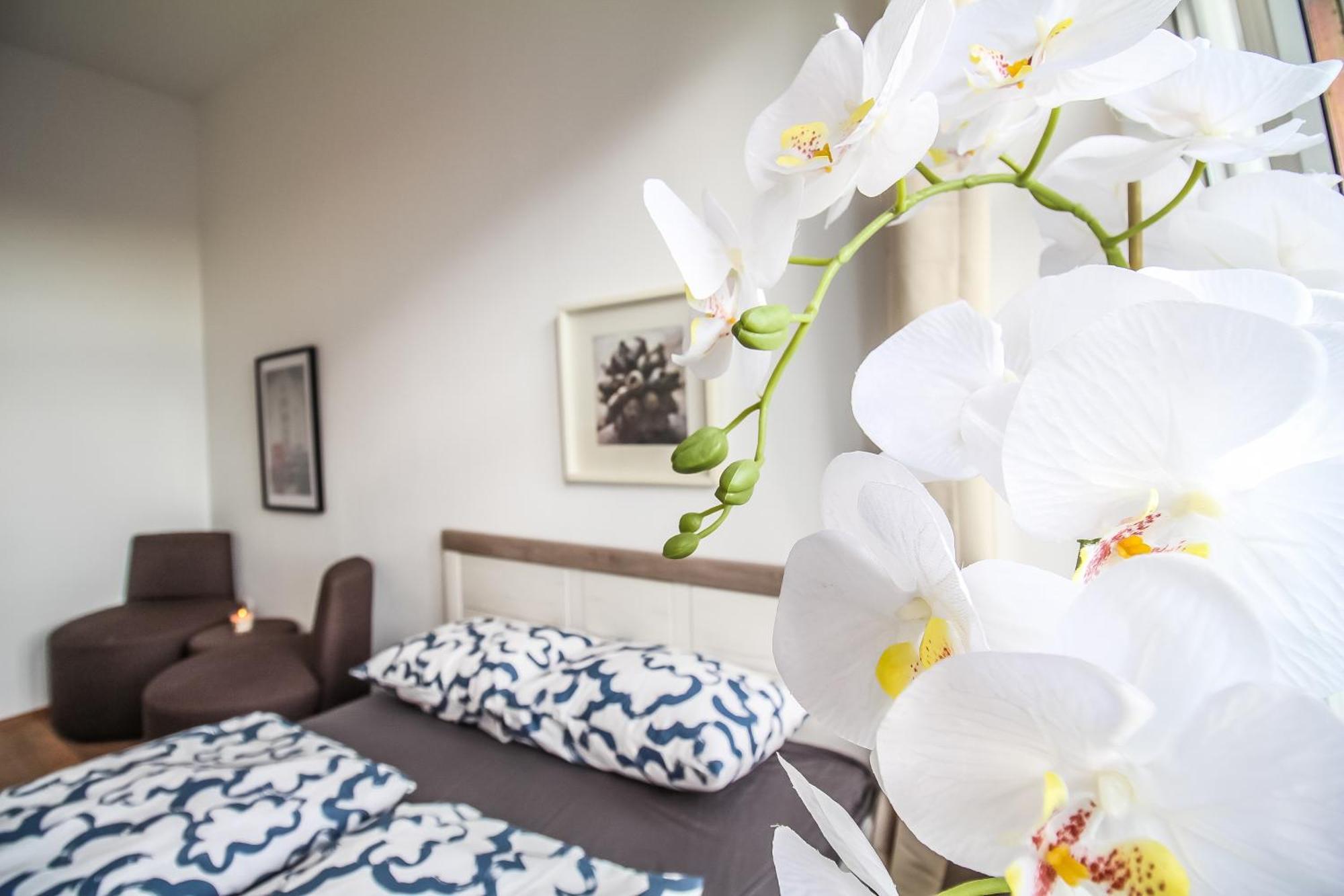 فيينا Disc Cozy Rooms In Liesing المظهر الخارجي الصورة